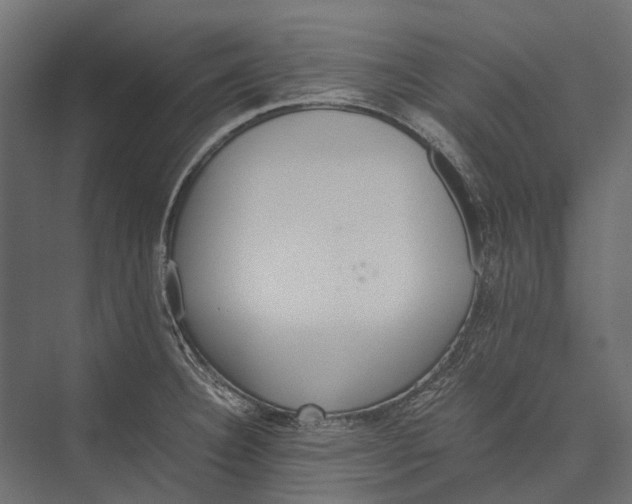 X0000076031332200610061408