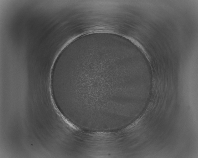 X0000076031333200610061408