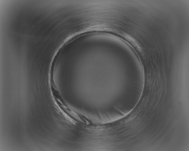 X0000076031334200610061408