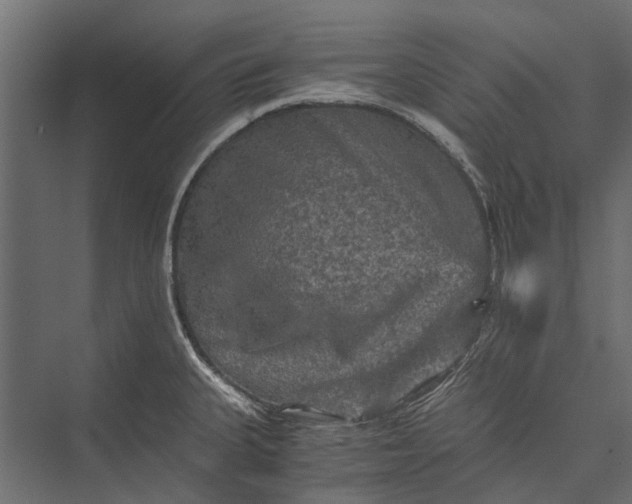 X0000076031335200610061408