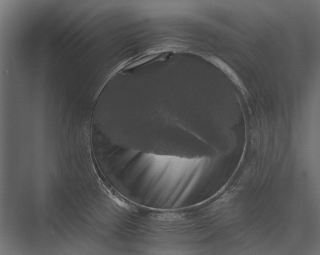 X0000076031337200610061408