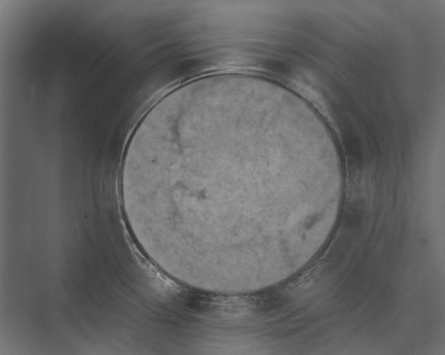 X0000076031338200610061408