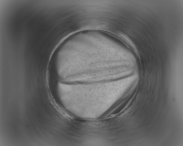 X0000076031340200610061408