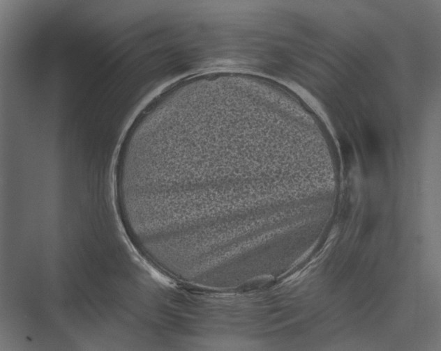 X0000076031341200610061408