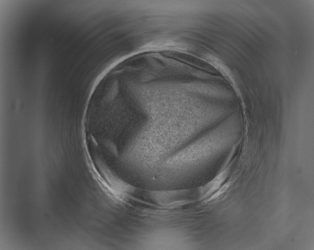 X0000076031344200610061408