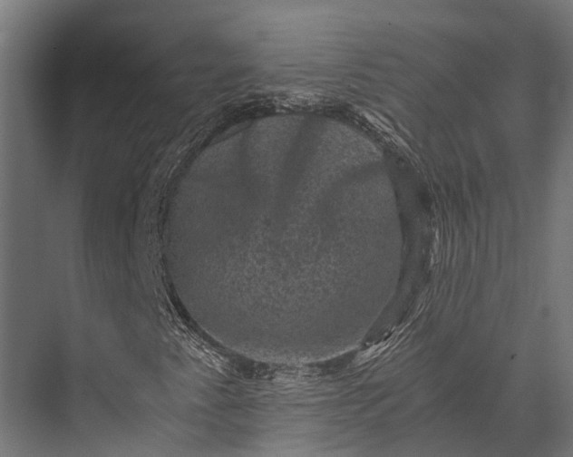 X0000076031345200610061407