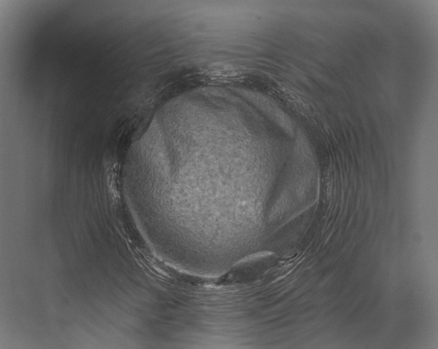 X0000076031346200610061407