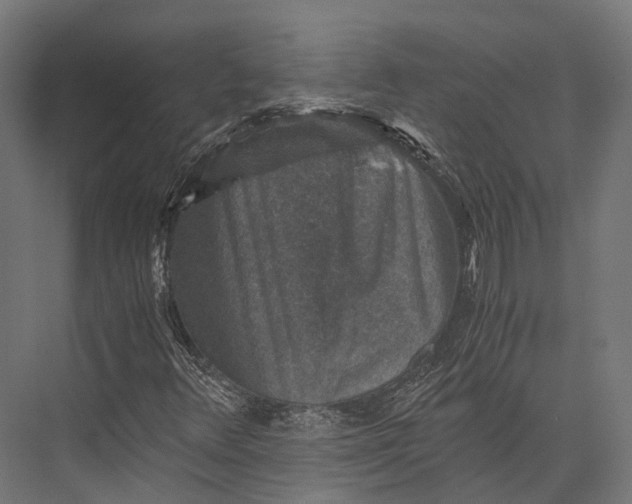 X0000076031348200610061407