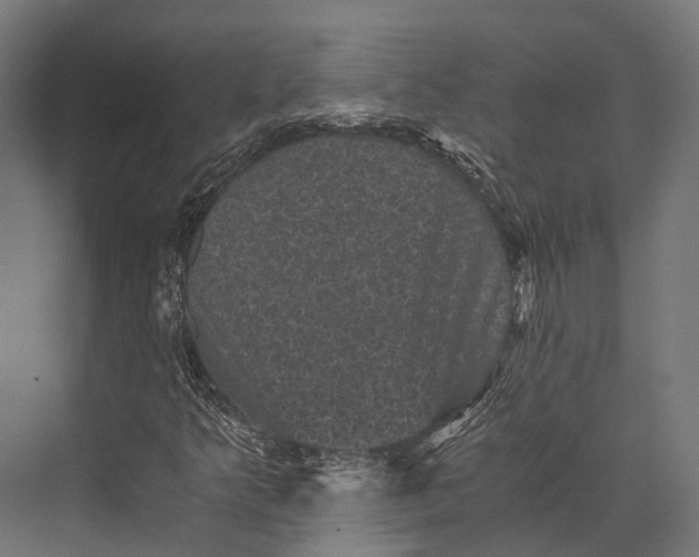 X0000076031349200610061407