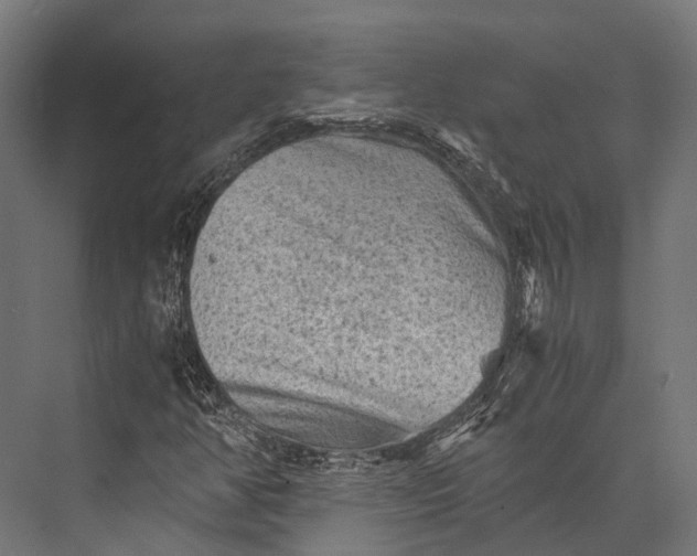 X0000076031350200610061407