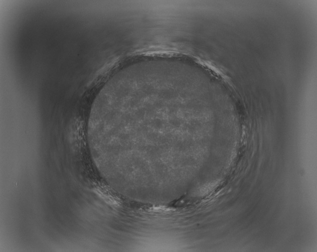 X0000076031351200610061407