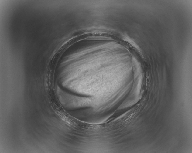 X0000076031352200610061407