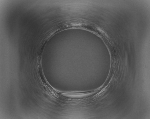 X0000076031353200610061407