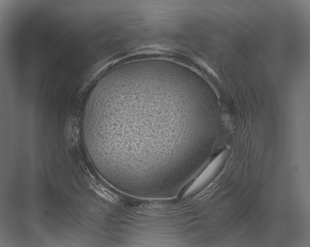 X0000076031355200610061407