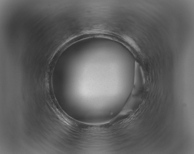 X0000076031356200610061407