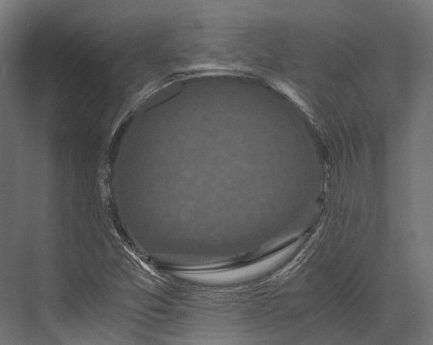 X0000076031357200610061407