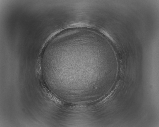 X0000076031358200610061407