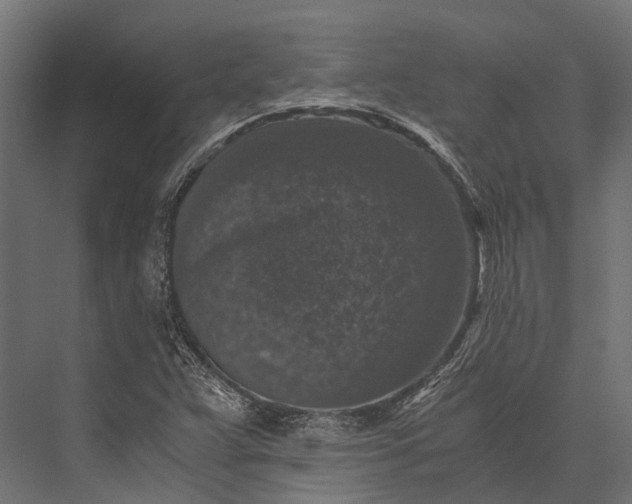 X0000076031359200610061407