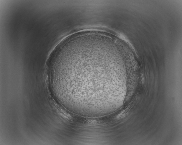 X0000076031360200610061407