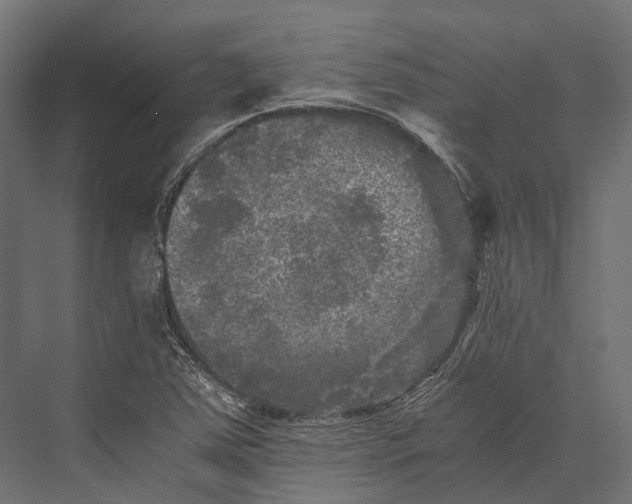 X0000076031363200610061407