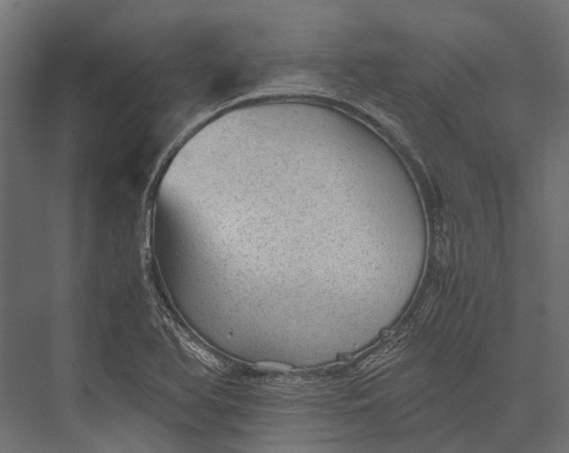 X0000076031366200610061407