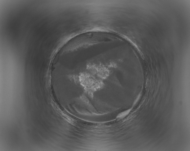 X0000076031367200610061407