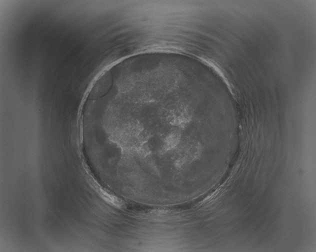 X0000076031371200610061407