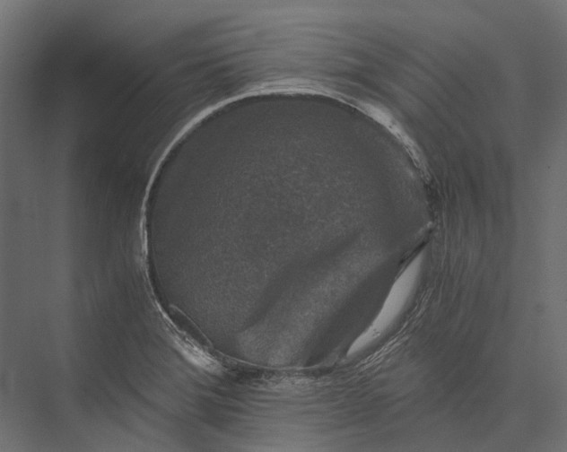 X0000076031372200610061407