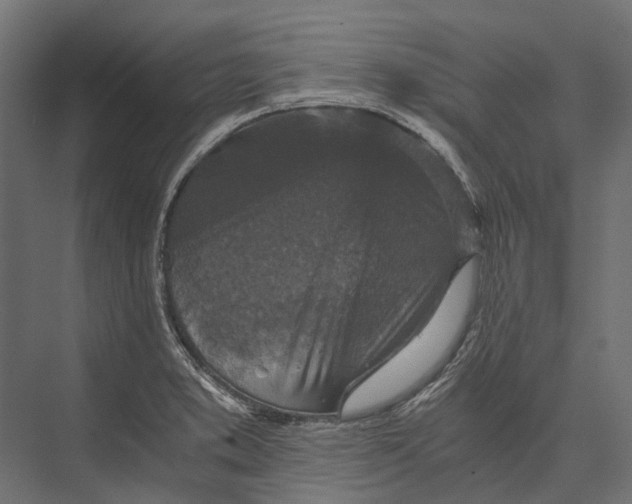 X0000076031373200610061407