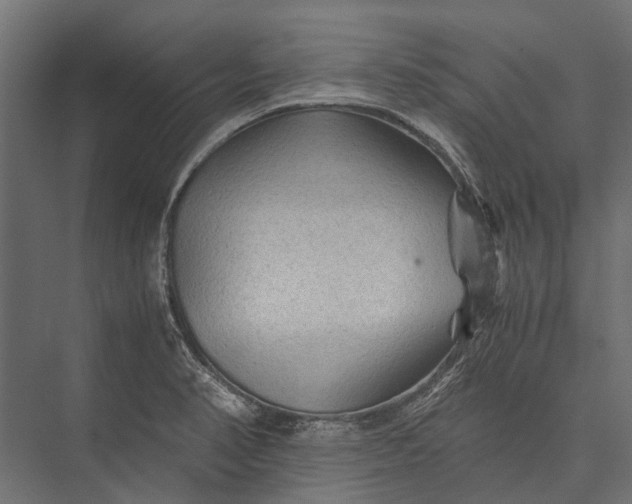 X0000076031374200610061407