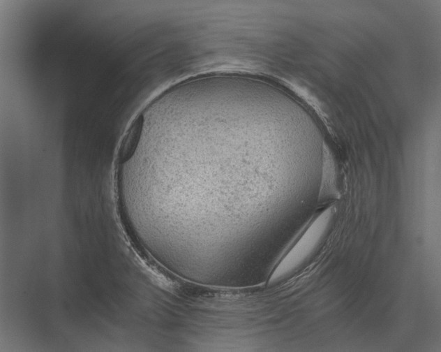 X0000076031375200610061407