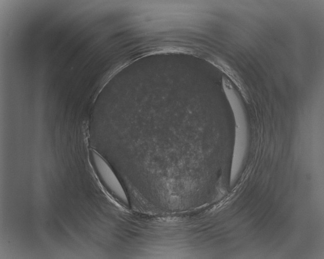 X0000076031377200610061407