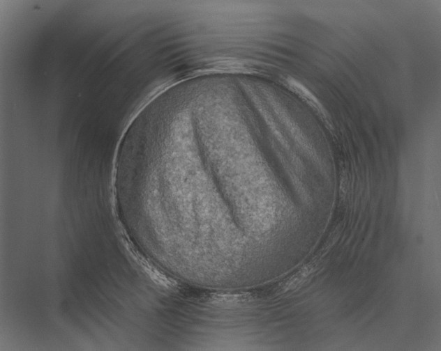 X0000076031378200610061407