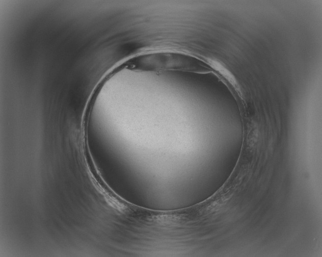 X0000076031380200610061407