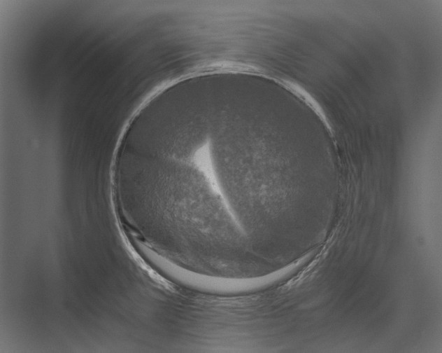 X0000076031381200610061407