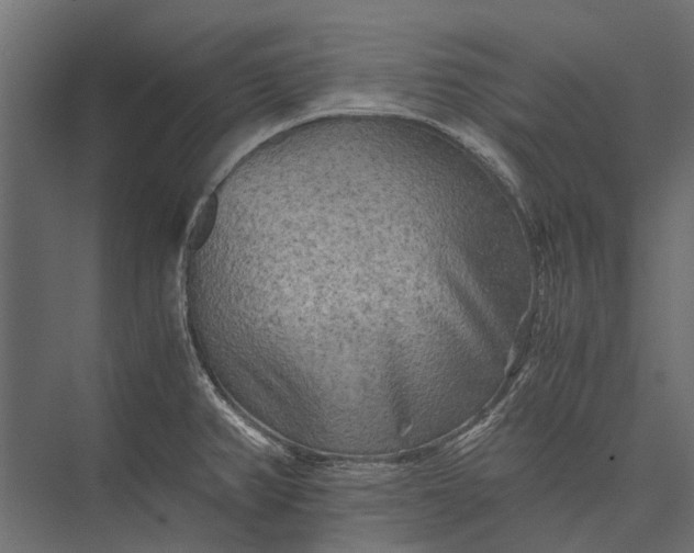 X0000076031382200610061407