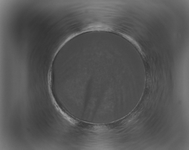 X0000076031383200610061407