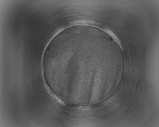 X0000076031384200610061407