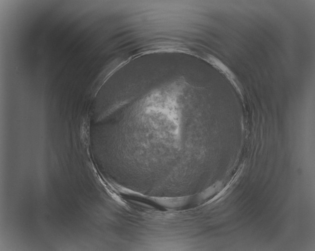 X0000076031385200610061407