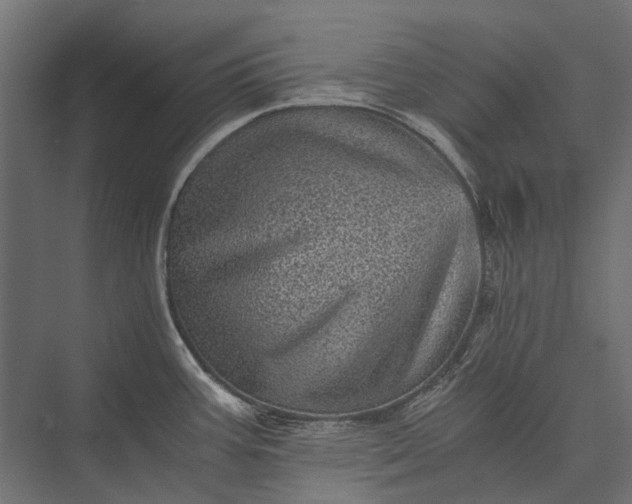 X0000076031387200610061407