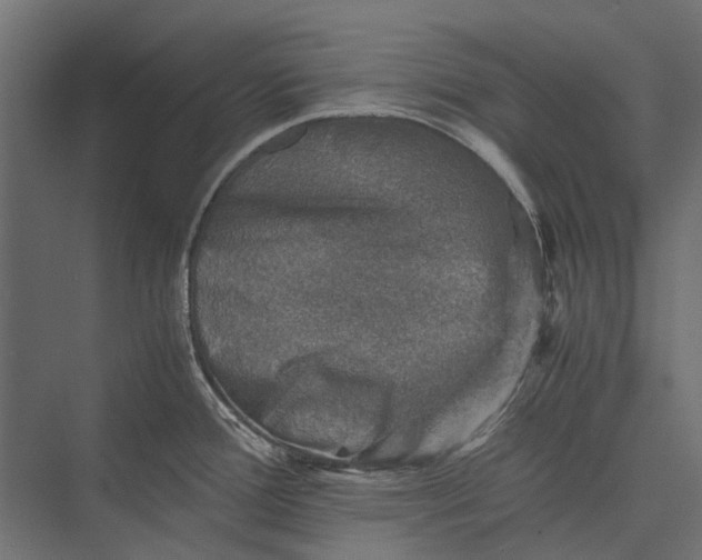 X0000076031388200610061407