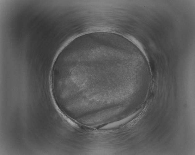 X0000076031389200610061407