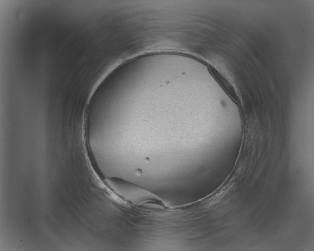 X0000076031390200610061407