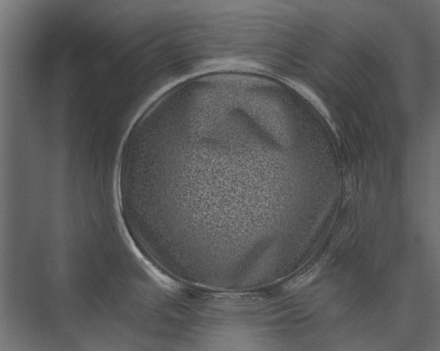 X0000076031391200610061407