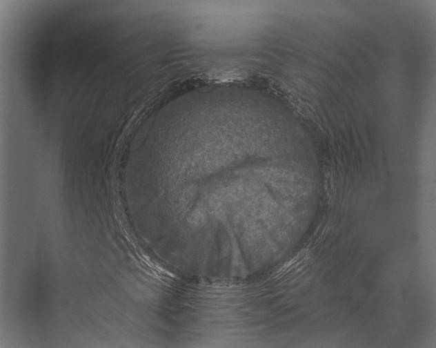 X0000076031393200610061406