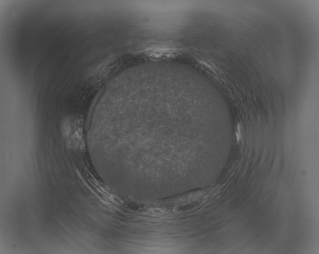 X0000076031396200610061406