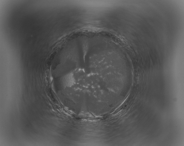 X0000076031397200610061406