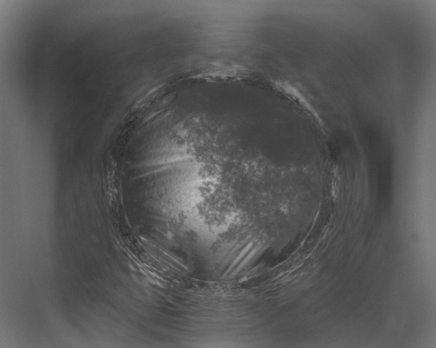 X0000076031399200610061406