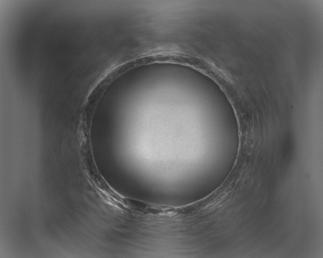 X0000076031400200610061406