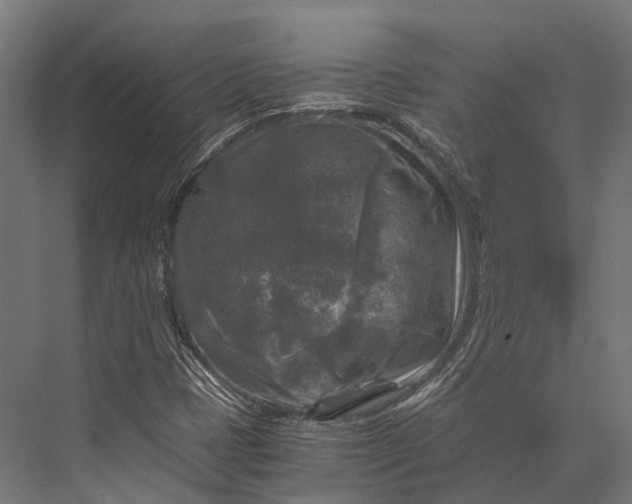 X0000076031401200610061406